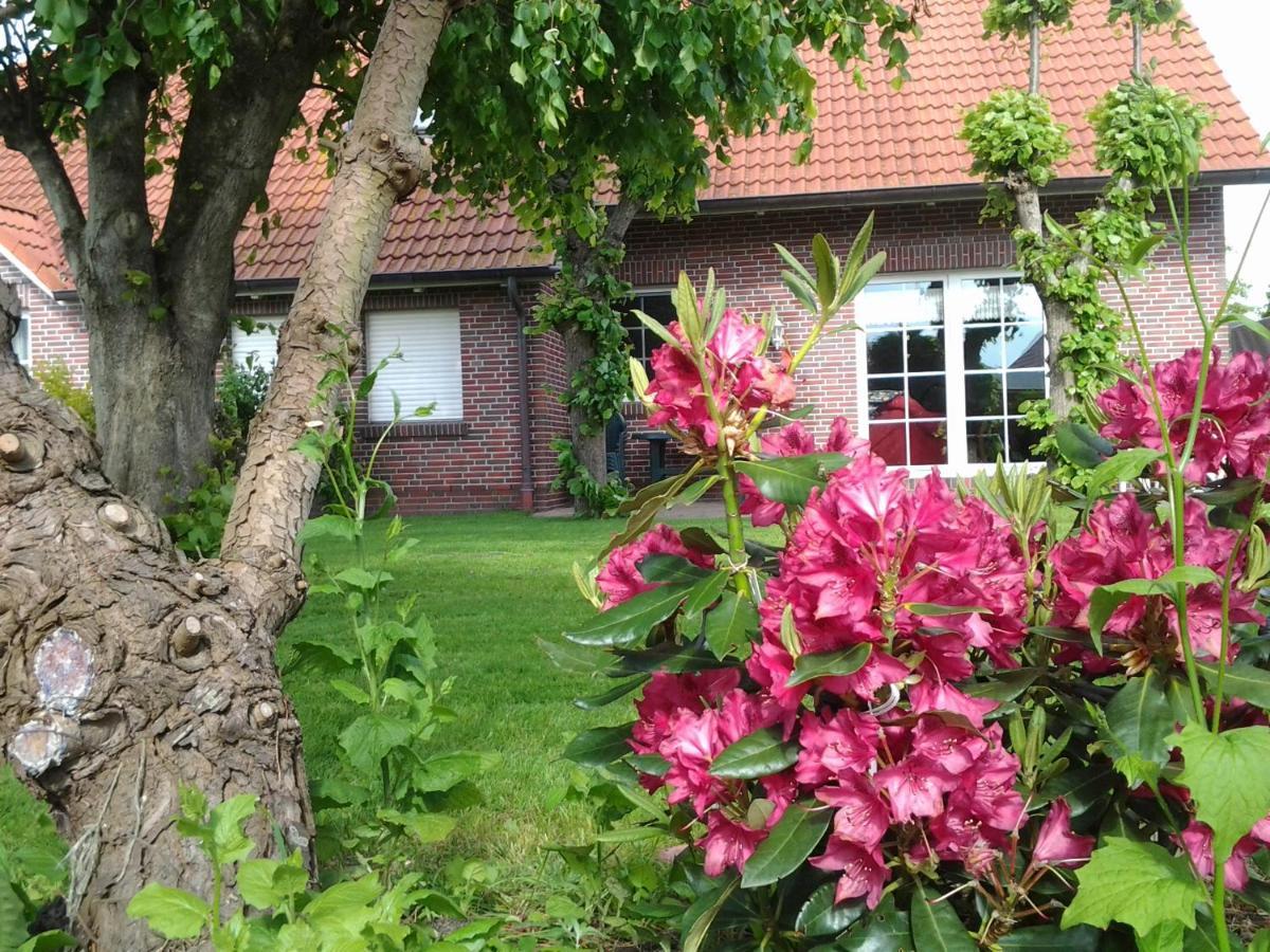 Huus Westerdiek Apartment *